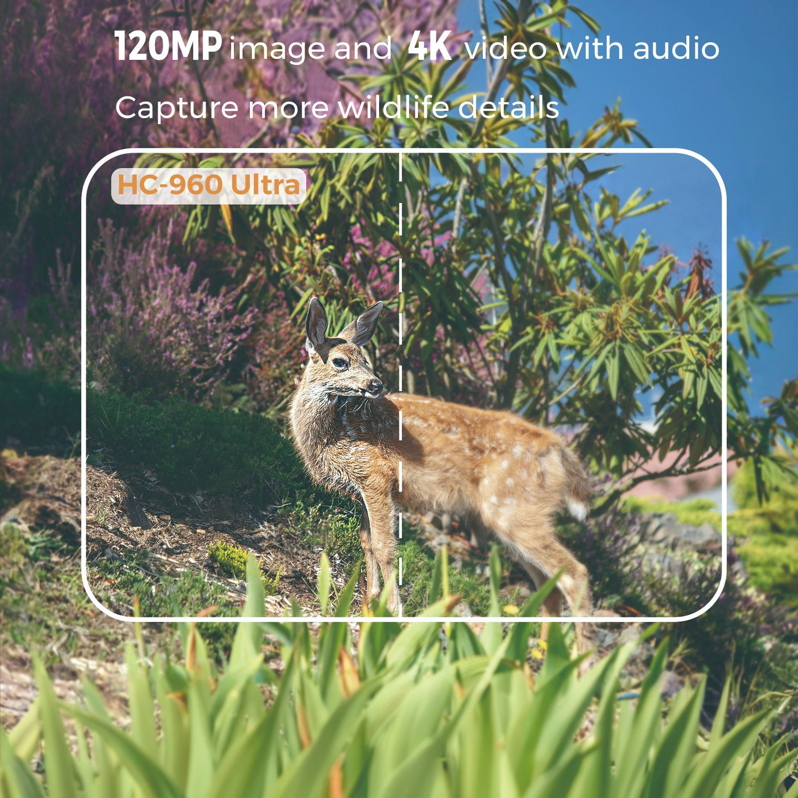 Outdoor 4K Video 120MP Photo 4 - Outdoor Hunting Videos recension och pris