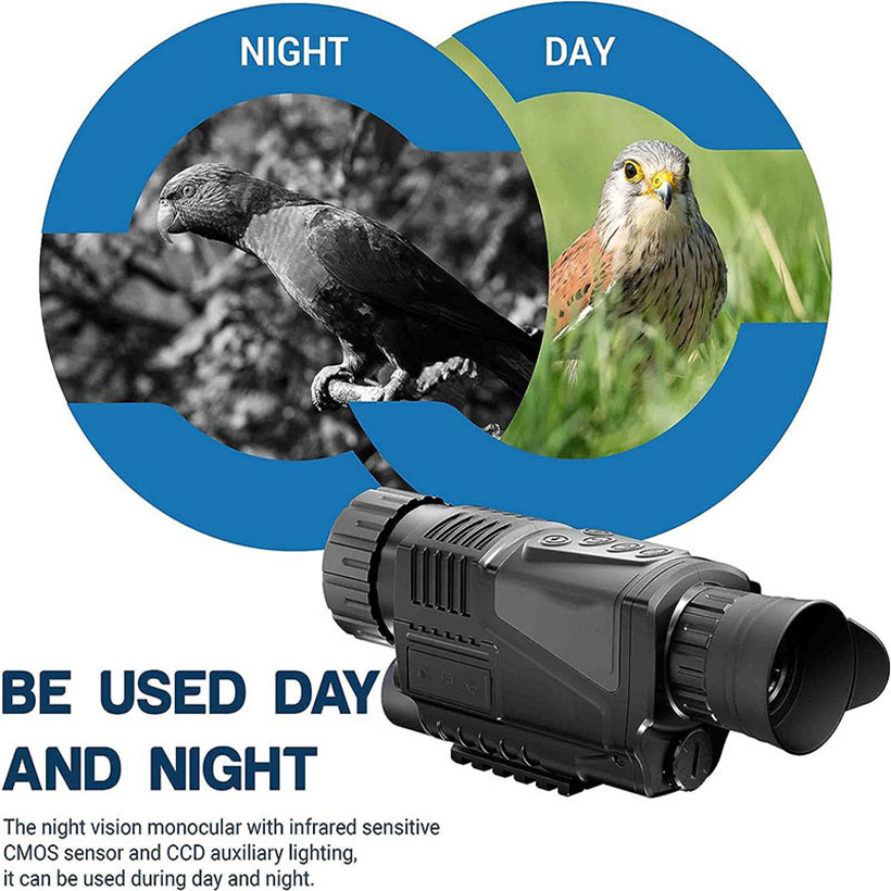 Low Light Night Vision Hunting - Outdoor Hunting Videos recension och pris