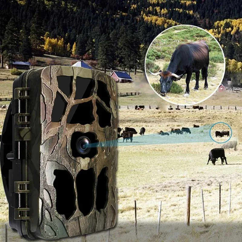 H982 IP66 Waterproof 4K Outdoo - Outdoor Hunting Videos recension och pris